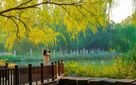 烟雨江湖天赋大全