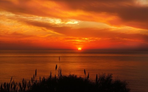 剑破九幽v1.0.2安卓版